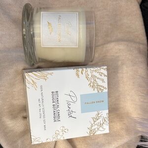 Fallen Snow Botanical Candle